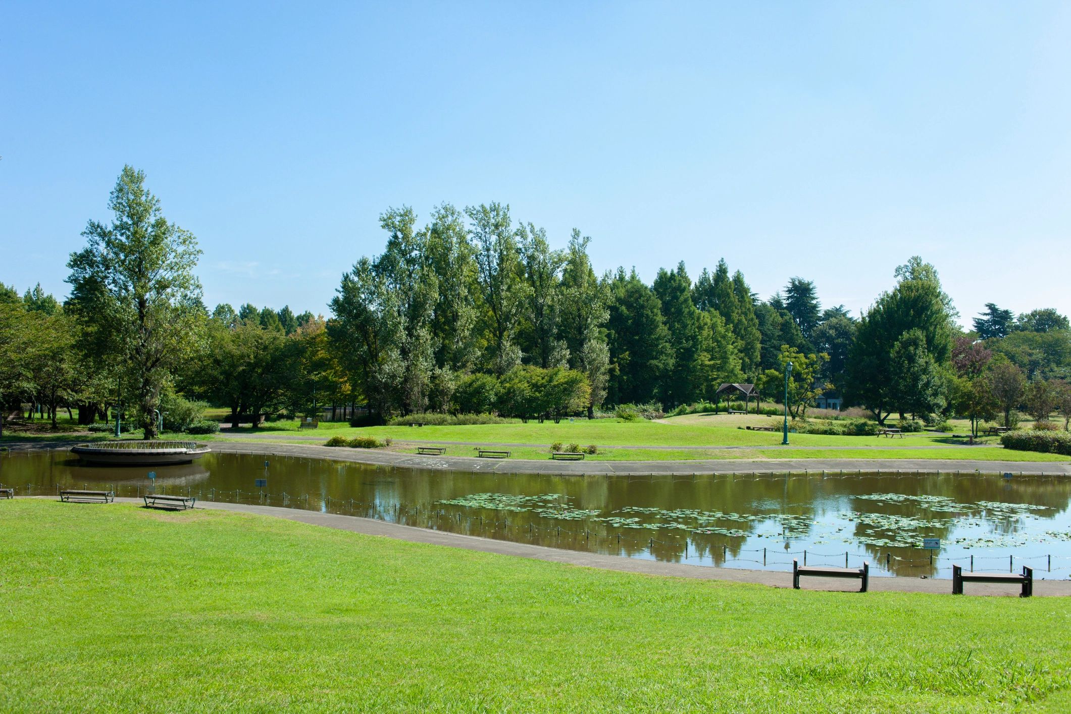 Custom pond and waterfall view